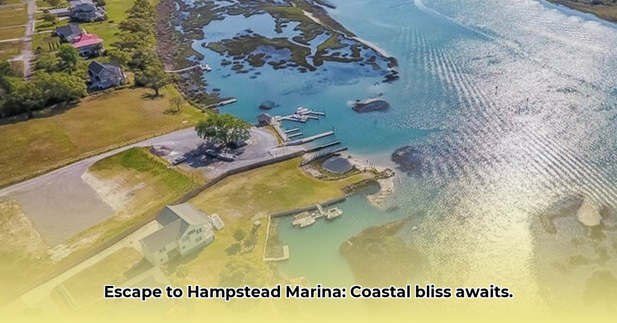 hampstead-marina